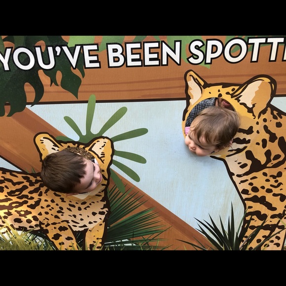 Meet your Posher, Alexandra - Picture 2 of 6